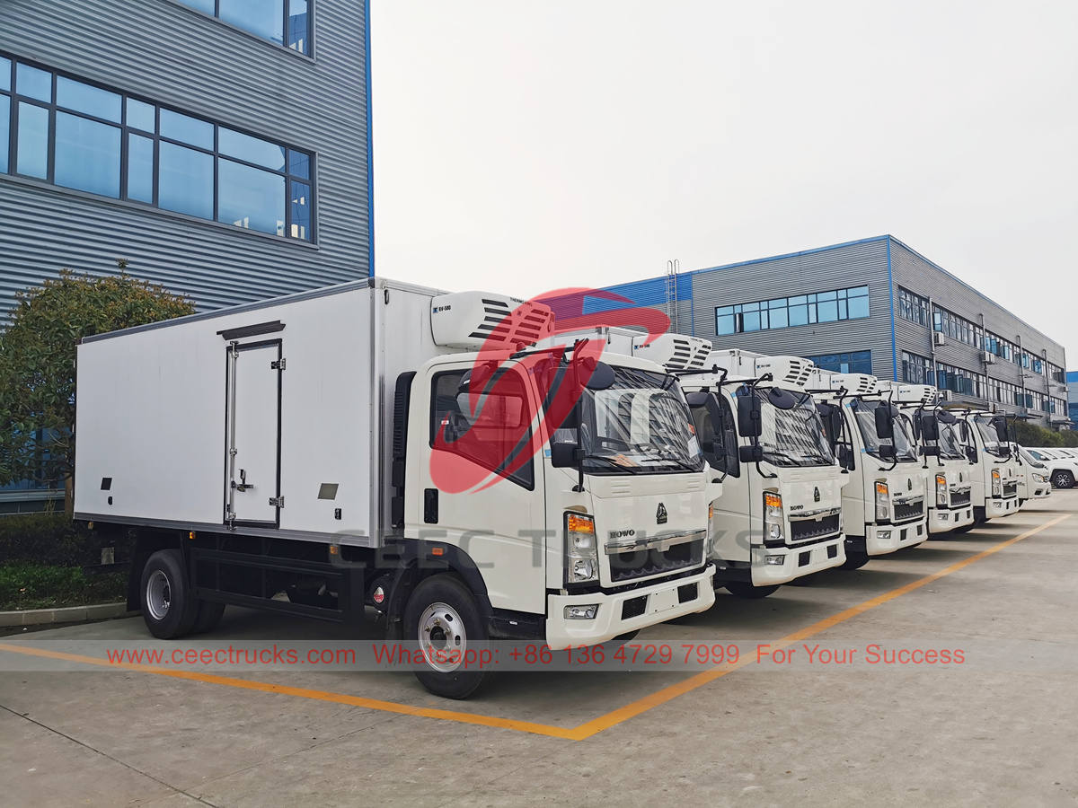 Camions frigorifiques HOWO 3 tonnes en vente