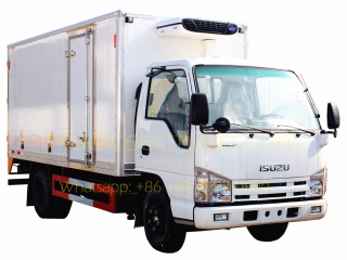 nigeria 10cbm isuzu camion frigorifique camion de livraison de vaccins