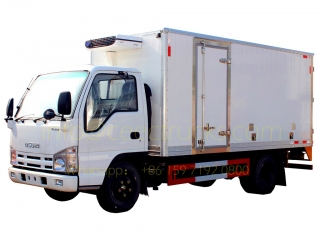 nigeria 10cbm isuzu camion frigorifique camion de livraison de vaccins
