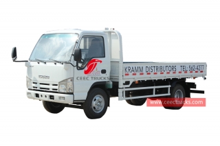 ISUZU 4×2 corps plat de camions pour la vente