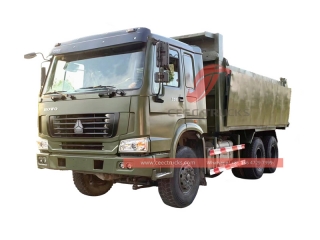 Camions à benne basculante de camion à benne basculante HOWO 6x4 de 30 tonnes à vendre