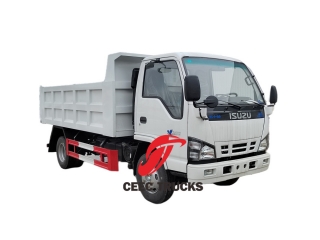 Camion-benne NKR 4x2 6,5 cbm par Isuzu