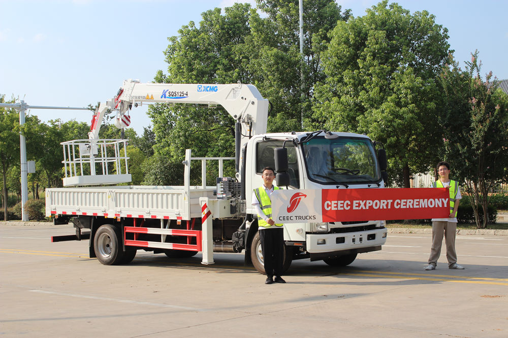 Un client de Sierra Leone a personnalisé une grue montée sur camion ISUZU NPR