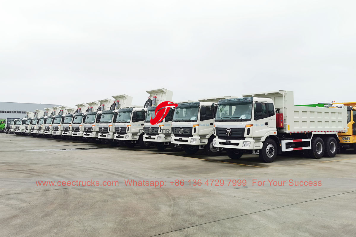 Algérie-30 unités de camion à benne basculante FOTON ont été exportées